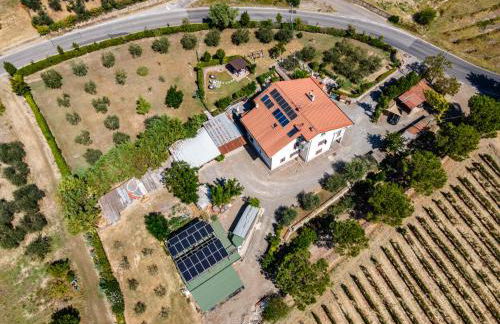 Sole Verde green house - Foto 8