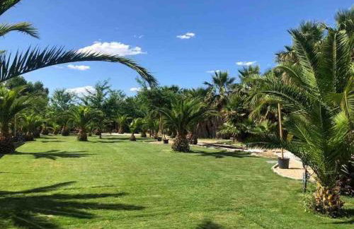 CASA RURAL EN BOSQUE DE PALMERAS - Foto 31