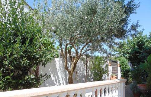 Apartments Petra - Photo 11