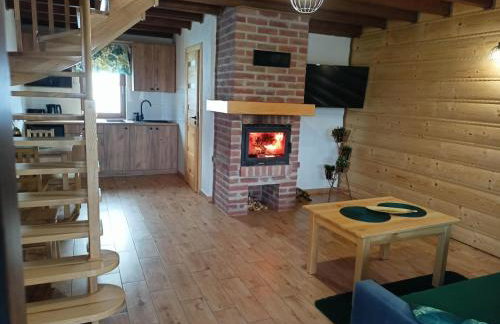 Bieszczadzki Bohater Domki 533-502-137 - Photo 5