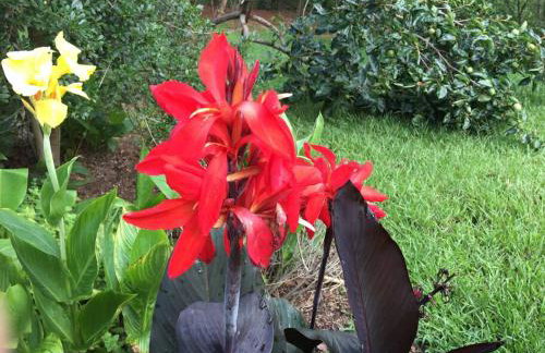 Oxford Chalet Getaway with Lake/Beach Access - Foto 13