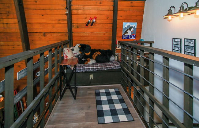 Bill Big Bear Bunkhouse - Foto 9