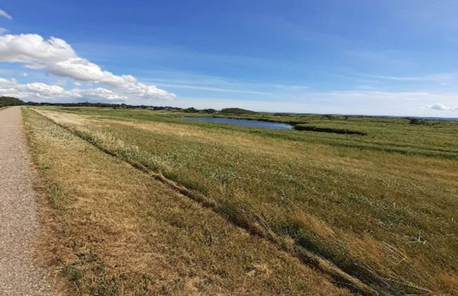 8 Person Holiday Home in Dannemare - Foto 36