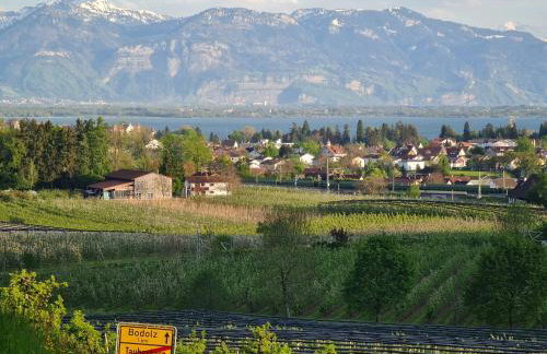 Alpenblick 1 - Photo 14