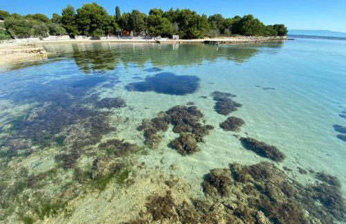 Apartments Matlovac - Foto 38