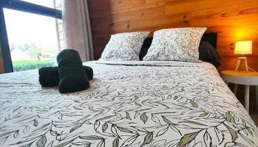 Sublime villa 9 pers- 5chb-pisicne-wifi - Foto 3