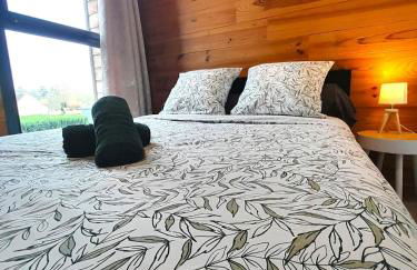 Sublime villa 9 pers- 5chb-pisicne-wifi - Foto 3