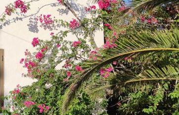 Beach and Tennis - Foto 8