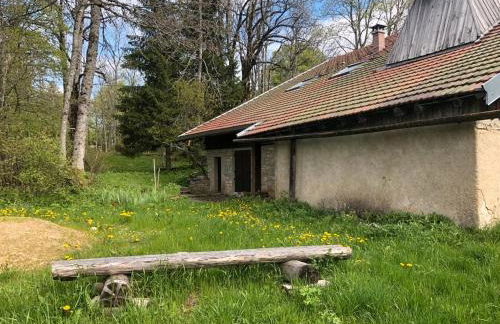 La Sauvagine - Foto 7