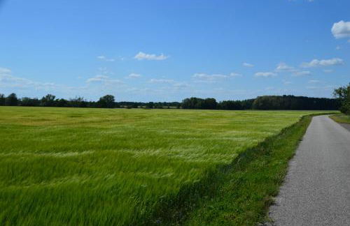 Ferienhaus Am Park - Foto 19