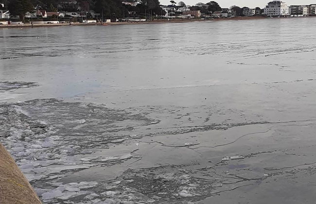 Holiday Home Near Bruges and Cadzand - Foto 33