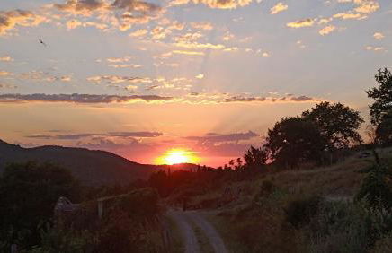 Agriturismo Podere Tegline - Foto 19