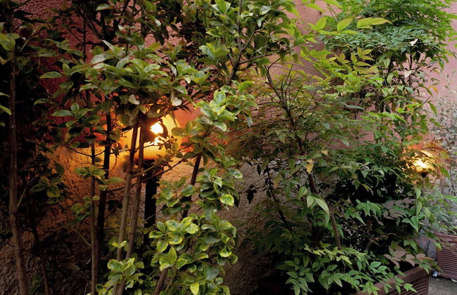 BnButler - Riccardo Galli 9 - Foto 14