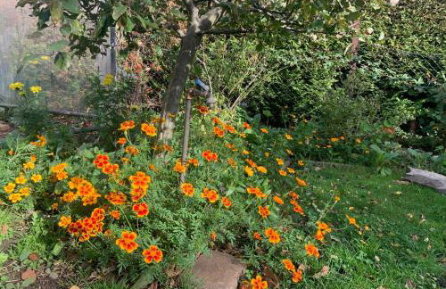 Biesdorf-verkehrsgünstig und ruhig - Foto 22