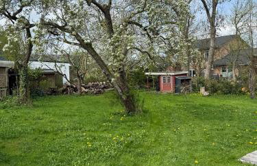 Marthas Garten - Foto 19