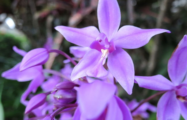 Marlin Waters - Foto 46