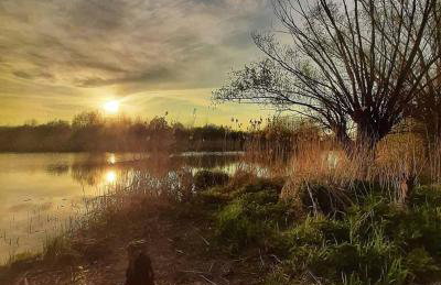 Loft Żuławy, apartament na wyłączność - Foto 24