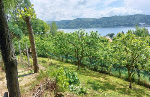 Farma Zdrowia - Foto 78