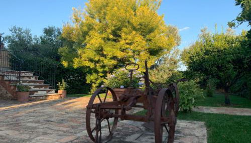 Appartamento Mimosa - Foto 2