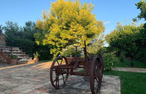 Appartamento Mimosa - Foto 2