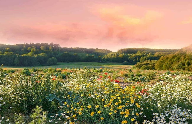 Comfortable Holiday Home for 8 People, Oswino - Photo 23