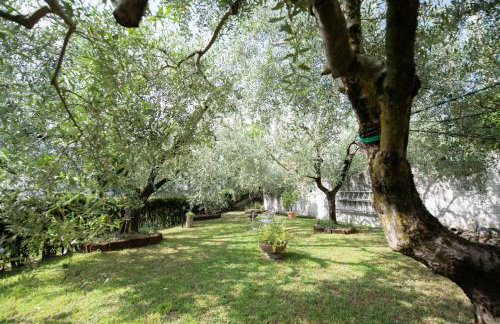 Casa Celestina - Foto 74