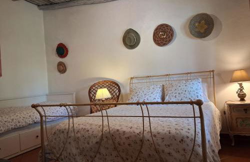 Monte do Rei Santo - Foto 77