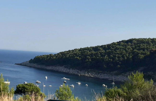 Kolocep Blue Cave & Lopud Island Boat Tour - Foto 5