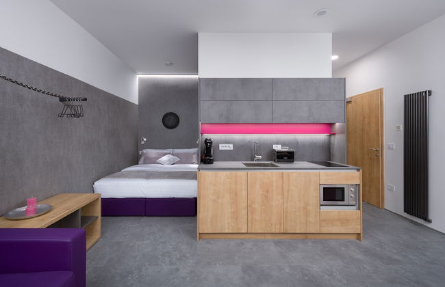 Vila Emona - Central Apartments - Free Parking - Photo 20