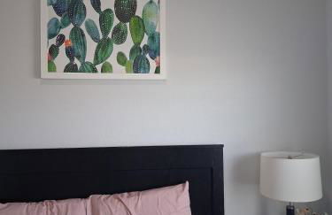 Casa Serenita-Santa Teresa, Hosted By El Gordito - Foto 15