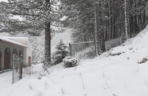 Dimora nel bosco - Foto 47