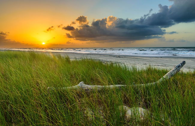 Beachside Bungalow - Foto 33