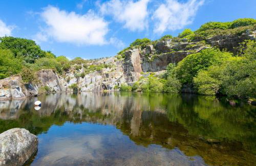 Costentyn, Tor Down Quarry - Foto 35