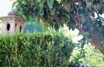 Mountain View Villa - Foto 12