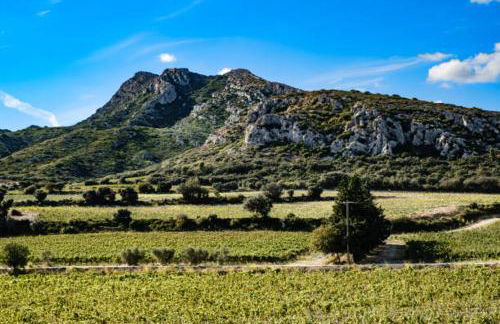 maison de cahuette - Foto 31