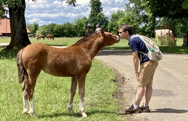 Maison de vacances - LM - Foto 24
