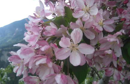 Agritur Leita - Foto 43