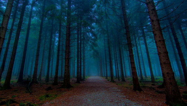 Tour in Valle de Bravo - Foto 3