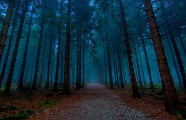 Tour in Valle de Bravo - Foto 3