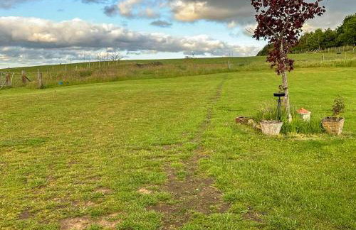 Woodpecker Hollow - Uk45980 - Foto 10