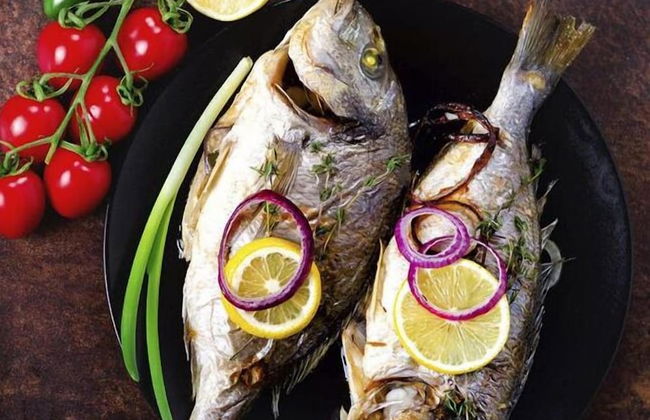 Fazenda Eco Jardim - Foto 28