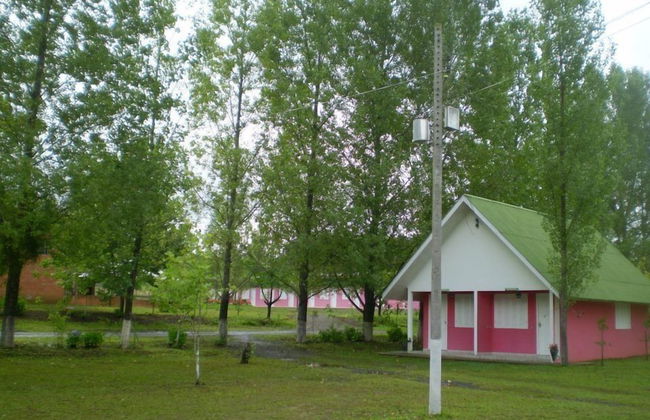 Harry World Parque Hotel - Photo 21