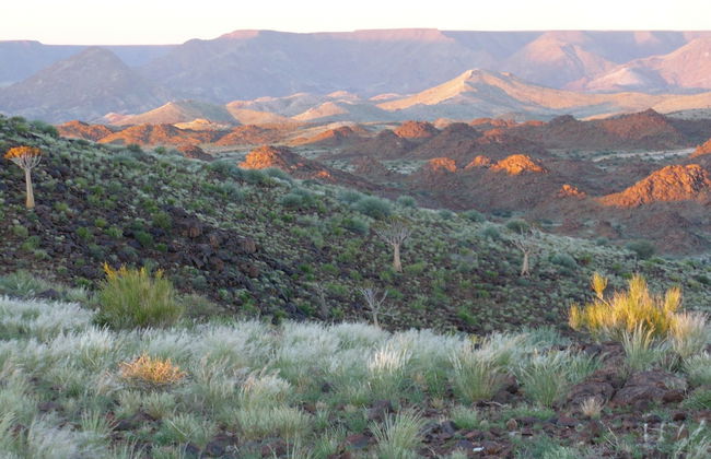 Daberas Guest Farm - Photo 24