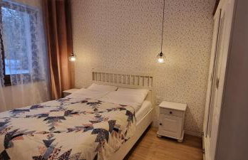 Borsk Sielanka - Foto 10