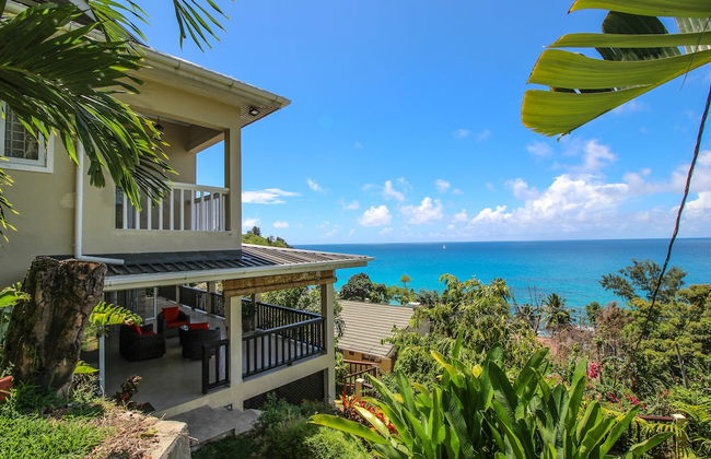 Kaz Bulinger - Foto 13