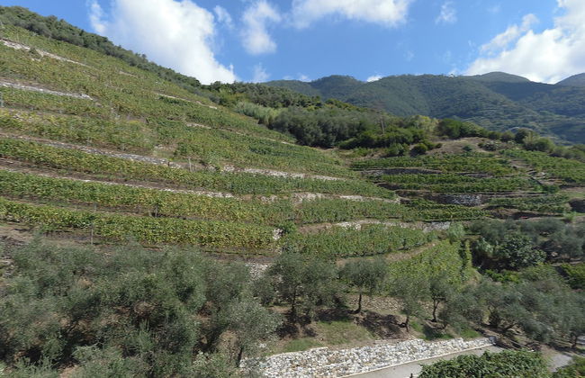 Agriturismo Buranco - Foto 30