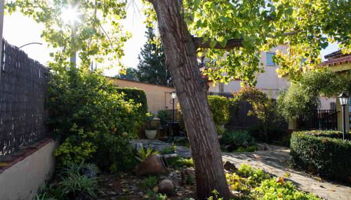 FLORIT FLATS - The Orange Lemon Tree House - Foto 5, Garden view