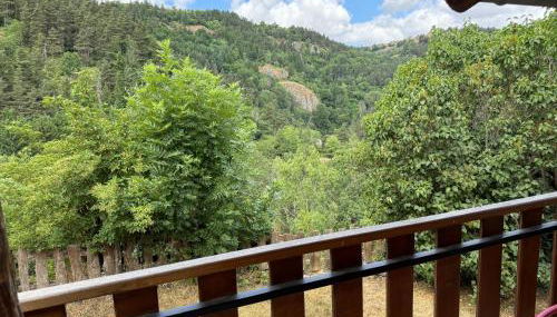 Gite LES SOURCES, 9 pers, 11 couchages - Arlempdes, classé un des plus beaux villages de France - Foto 3