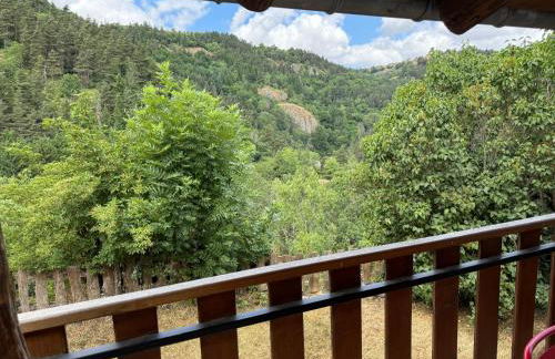 Gite LES SOURCES, 9 pers, 11 couchages - Arlempdes, classé un des plus beaux villages de France - Foto 3