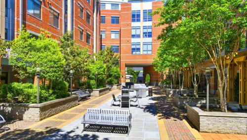 Comfort & Convenience in Trendy Crystal City Loft - Photo 3, Garden, Garden view